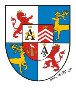 Coat of arms of Birons from Syców